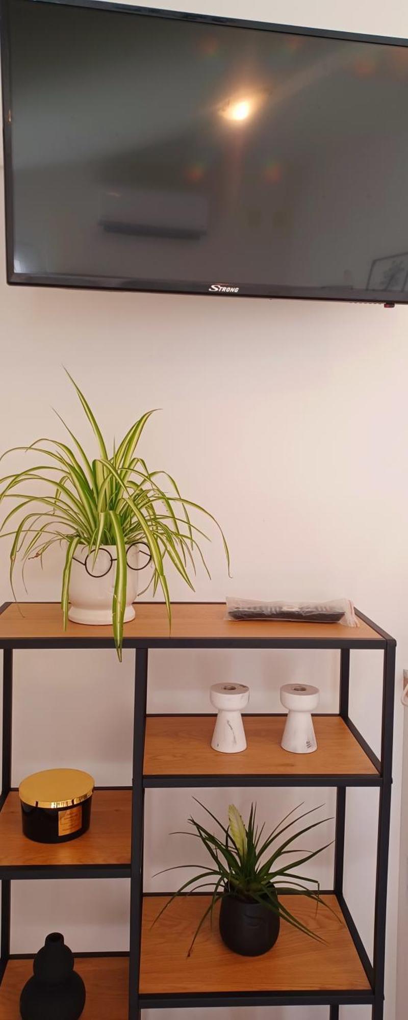 Apartman Amalija *