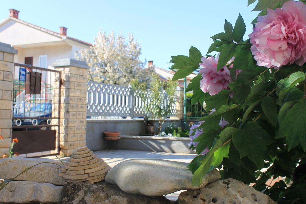 Apartman Amalija *